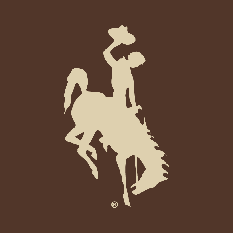 Wyoming Cowboys 2006-2012 Alternate Logo t shirts iron on transfers v2